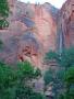 Zion_Riverside_trail.jpg