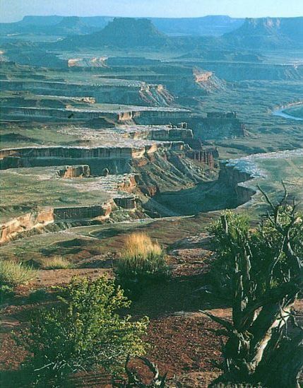 Green River Overlook from Island in the Sky in Canyonlands National Park