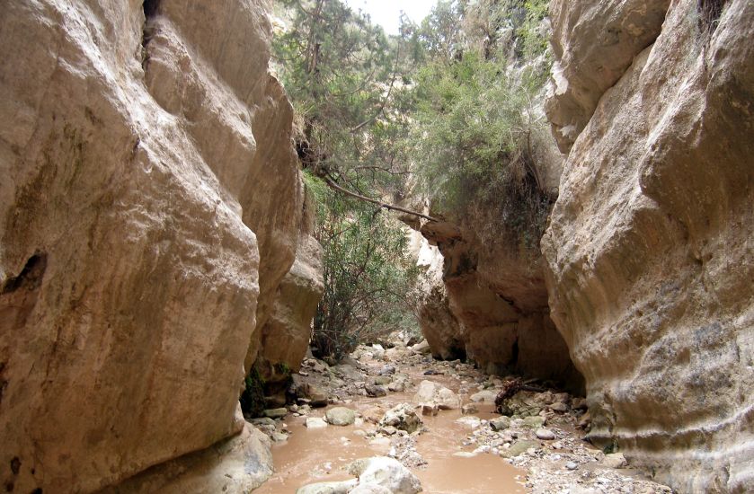 Avakas Gorge in the Akamas Peninsula of western Cyprus