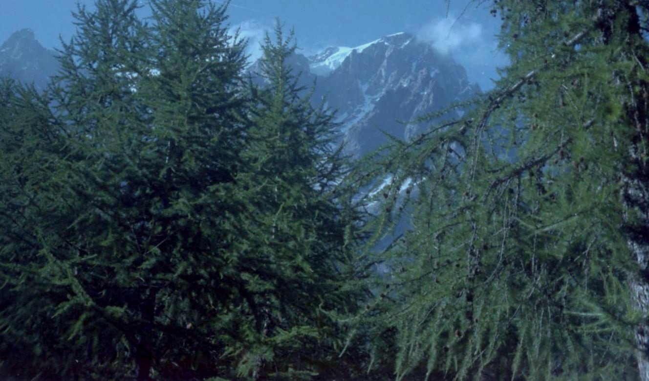 Grandes Jorasses ( 4208m ) above Val Ferret in Italy