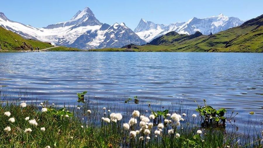 Wetterhorn and Schreckhorn ( Terror Peak ) with Upper Grindelwald Glacier from Bachalpsee