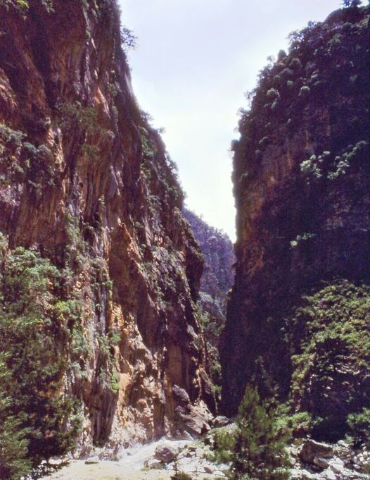 Samaria Gorge on Greek Island of Crete