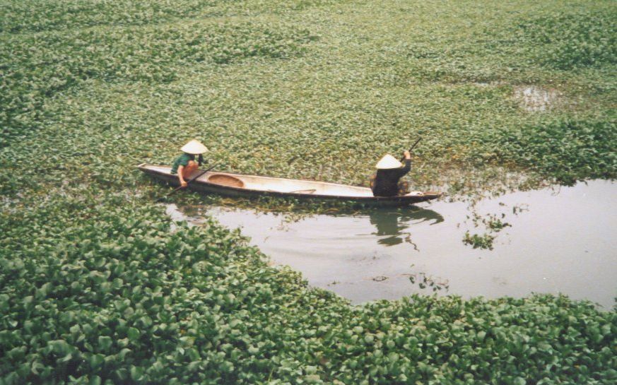 The Moat in front of the Citadel in Hue