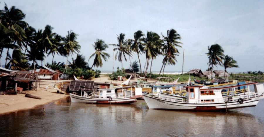 Marang on the East Coast of Peninsular Malaysia