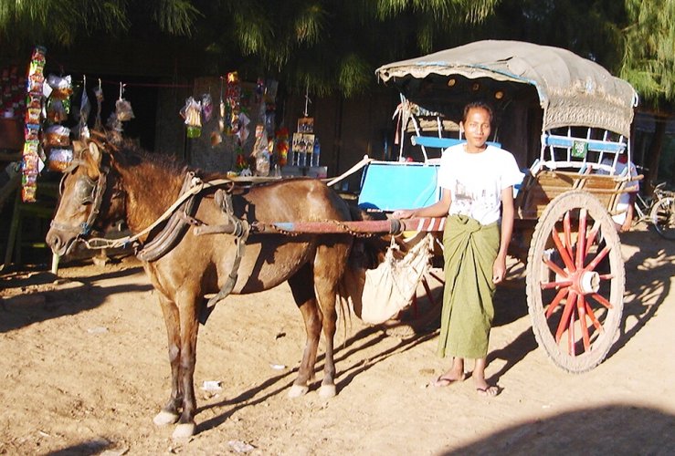 Horse Cart and Driver at Inwa near Mandalay in northern Myanmar / Burma