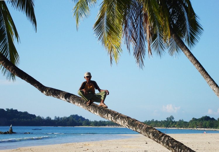 Coconut Palm Trees on Ngapali Beach on the Bay of Bengal on the western coast of Myanmar / Burma