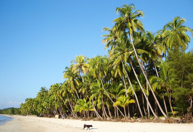 Ngapali Beach on the Bay of Bengal on the western coast of Myanmar / Burma