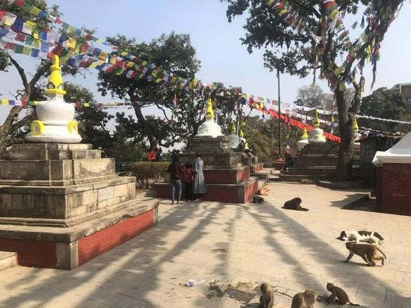 Chorten ( Buddhist shrines ) at Swayambunath ( the " Monkey Temple " ) in Kathmandu