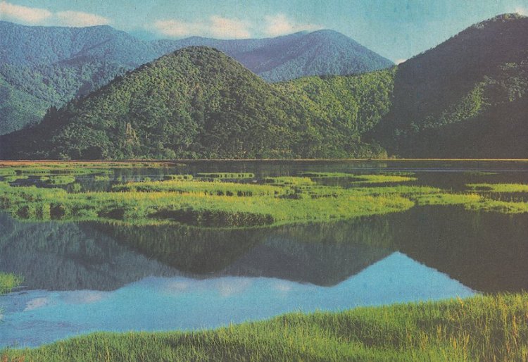 Marlborough Sounds in South Island of New Zealand