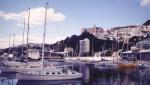 wellington_harbour.jpg