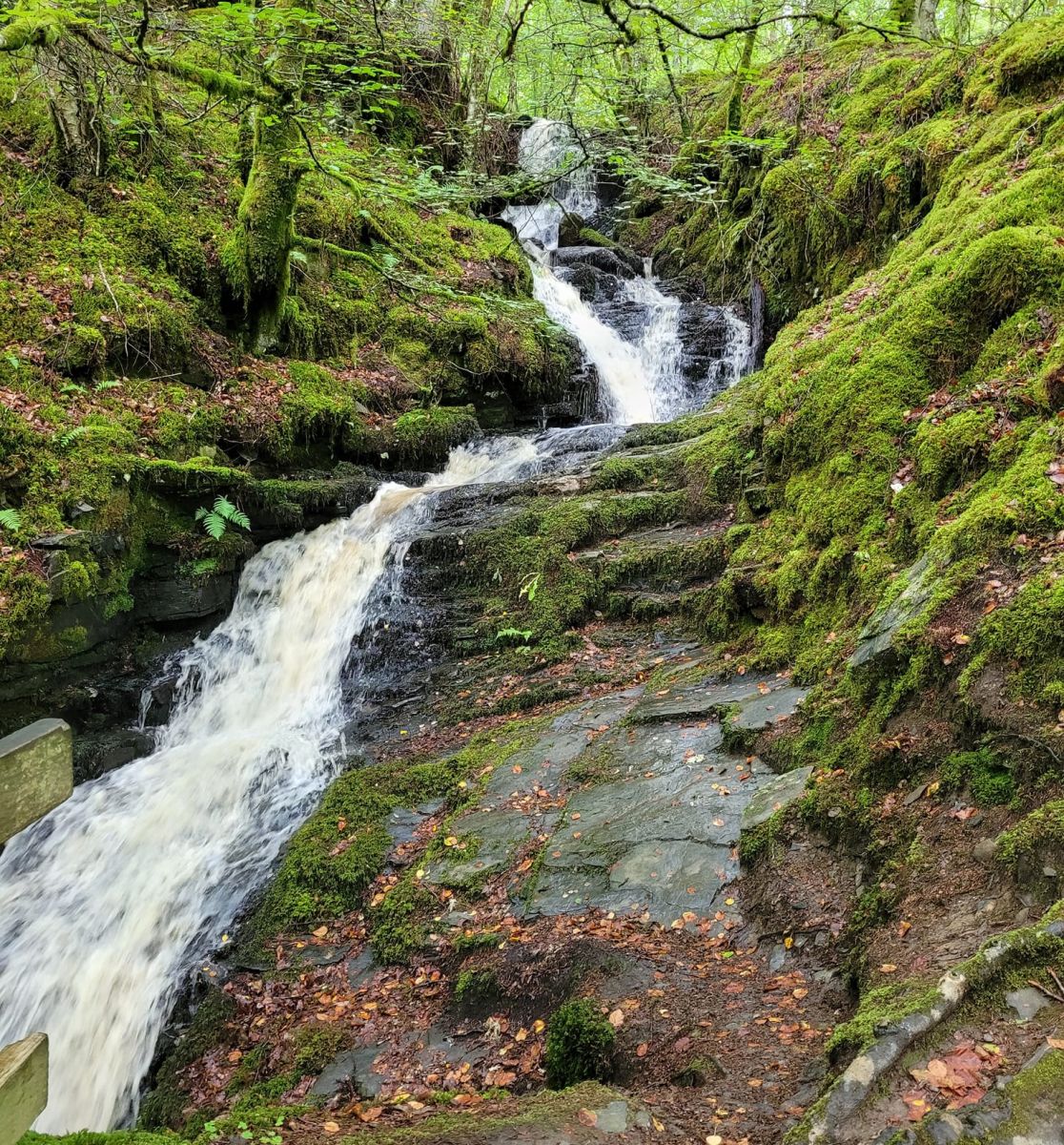 Waterfall in the Birks of Aberfeldy