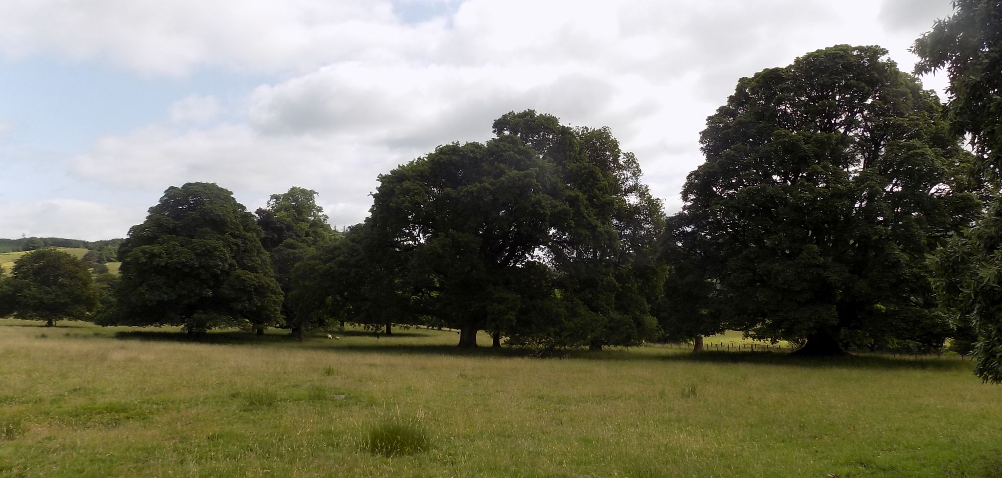 Ardgowan Estate