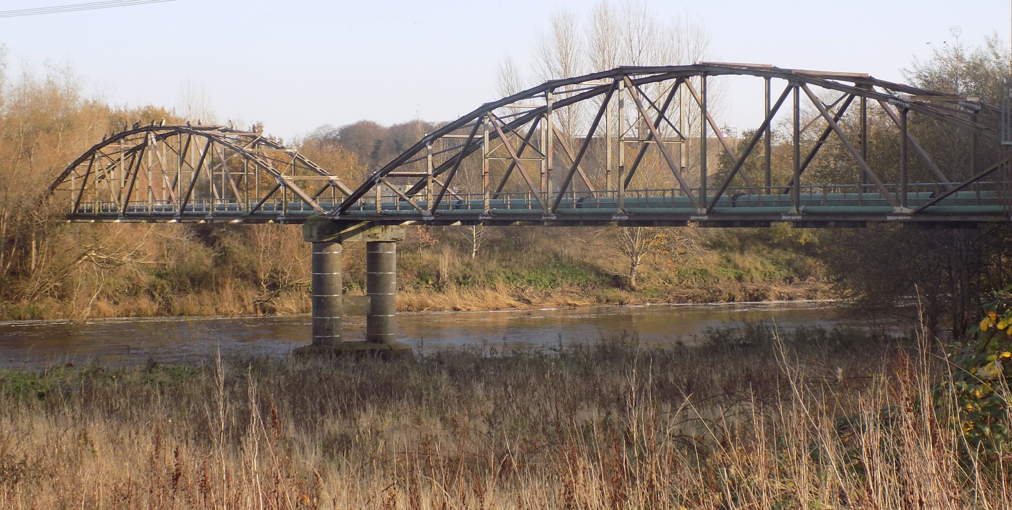 Pipe Bridge over River Clyde near Daldowie