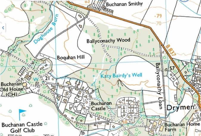 Map of Buchanan Castle area