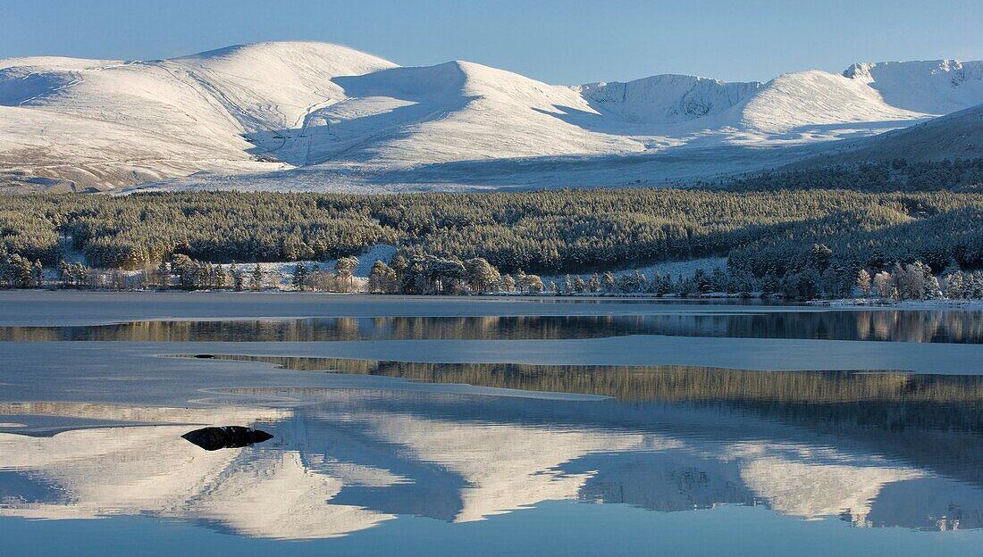 Loch Morlich in the Cairngorms of Scotland