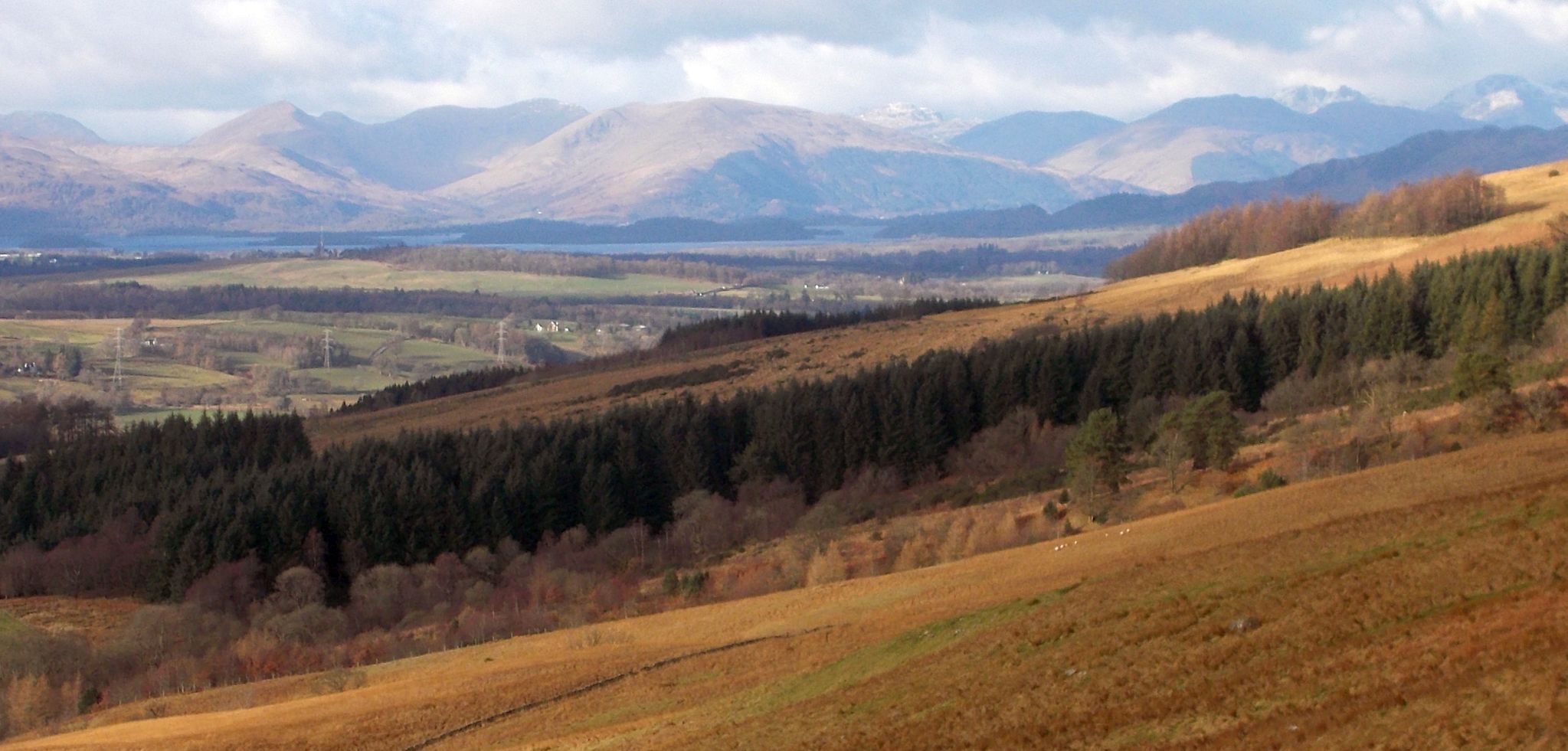 Luss Hills above Loch Lomond