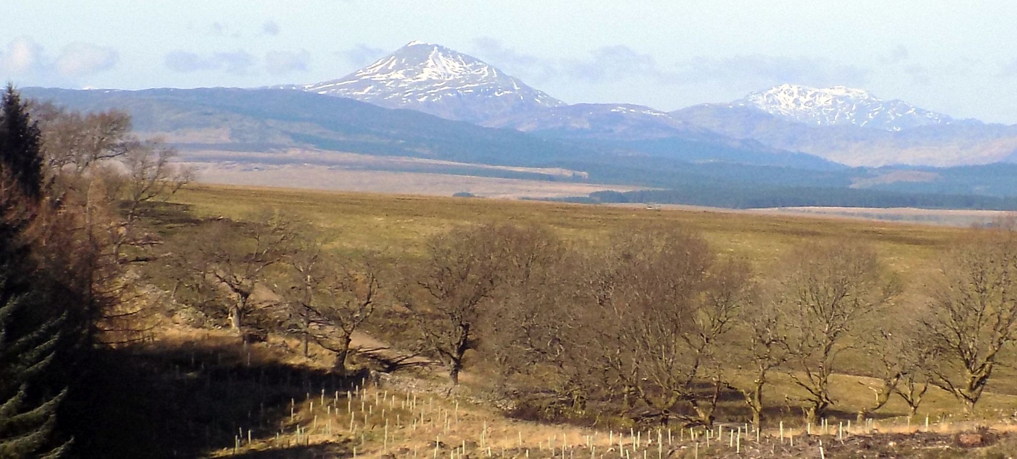 Ben Lomond on route to Corrie of Balglass