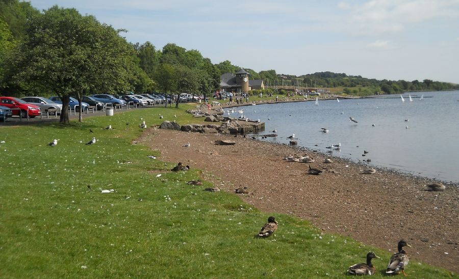 Visitor Centre at Castle Semple Country Park