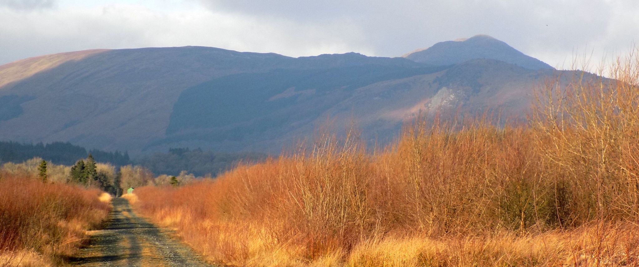 Ben Ledi from the track of the old railway line