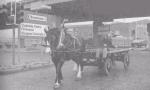 horse_cart_1978.jpg