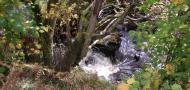 DSCF5010.JPG