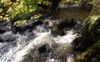 DSCF5016.JPG