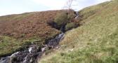 DSCF5022.JPG