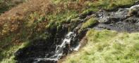 DSCF5023.JPG