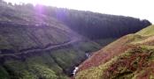DSCF5029.JPG