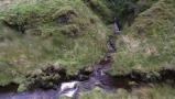 DSCF5041.JPG