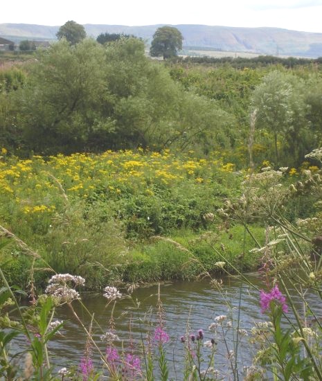 Campsie Fells from the Kelvin River Walkway