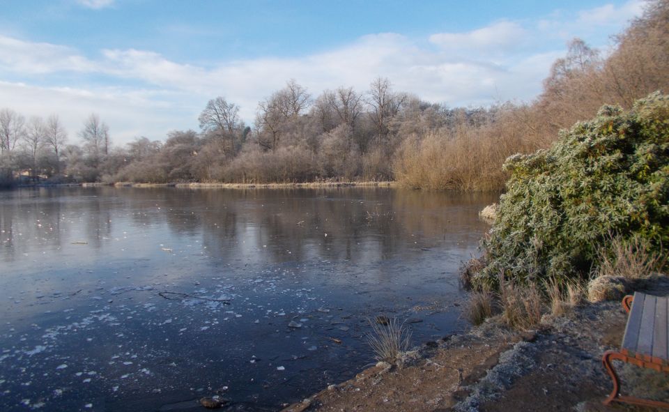 Kilmardinny Loch in winter