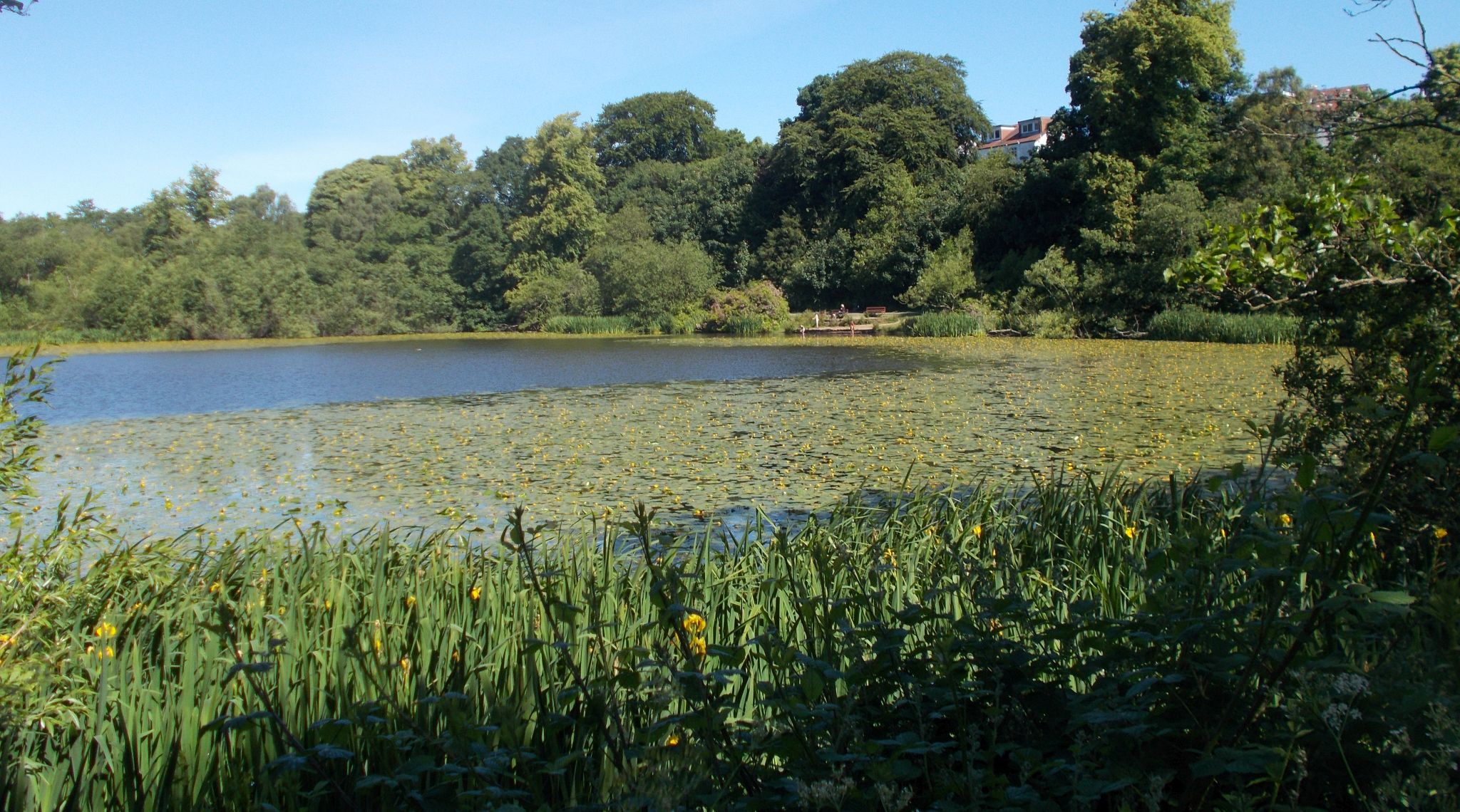 Springtime at Kilmardinny Loch