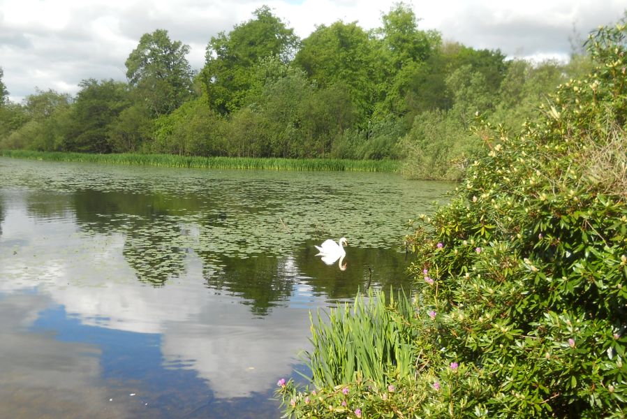 Kilmardinny Loch in Bearsden