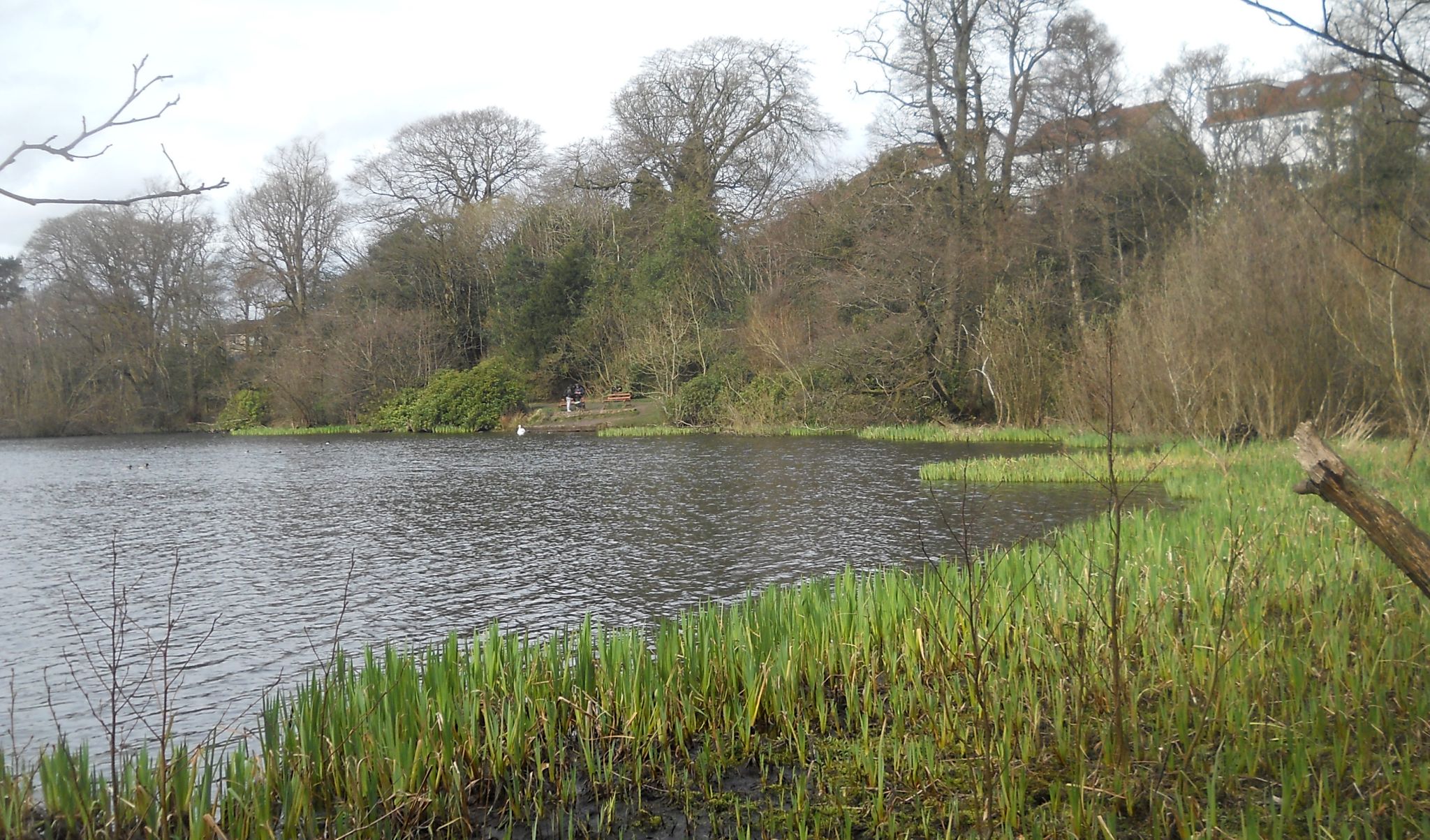 Kilmardinny Loch in Bearsden