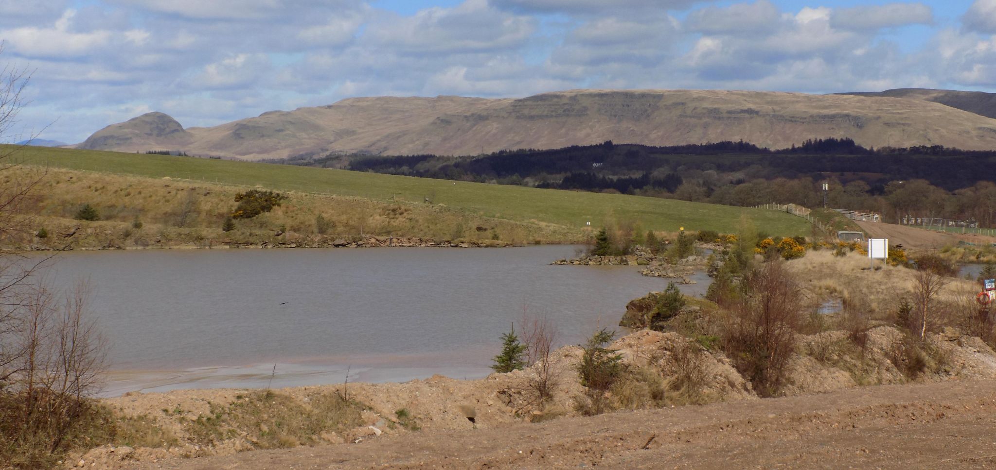 Campsie Fells from Mains Wood