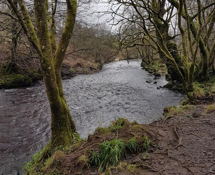 Glazert Water on the Thomas Muir Trail / Strathkelvin Railway Path