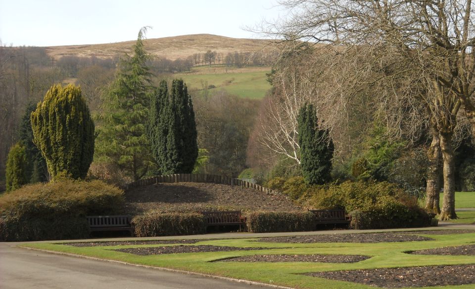 Bromley Muir from public park in Alexandria