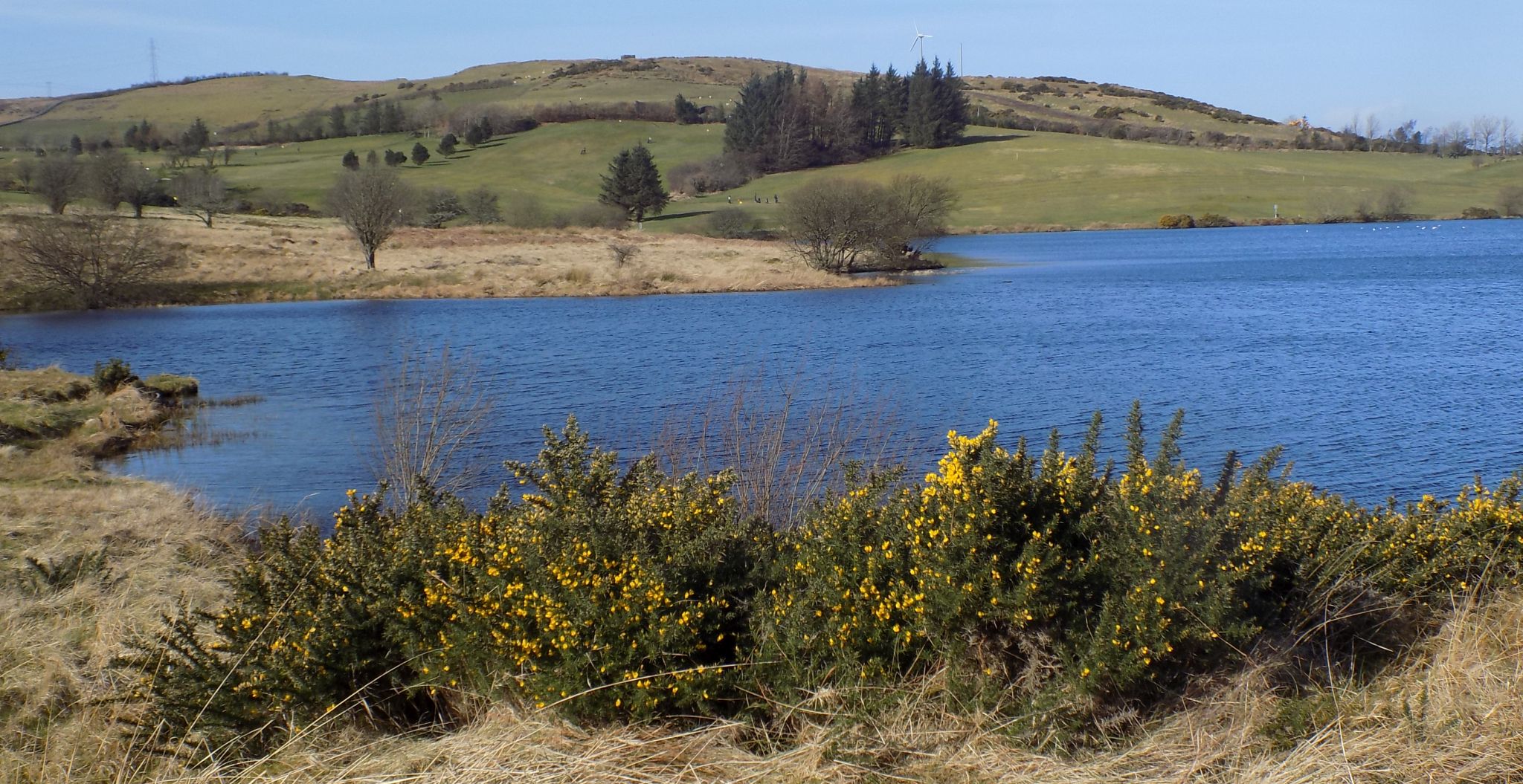 Whinhill Reservoir