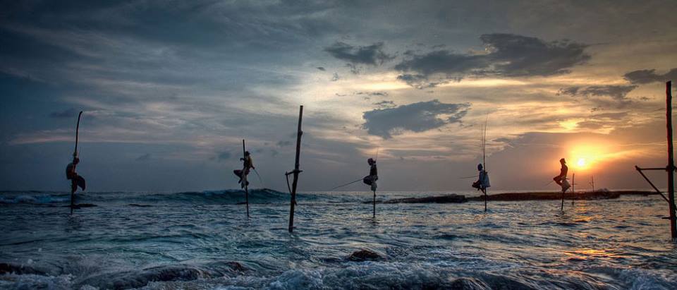 Stilt Fishermen at Hikkaduwa