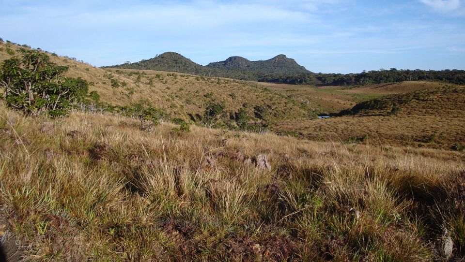 Horton Plains National Park in the Hill Country of Sri Lanka