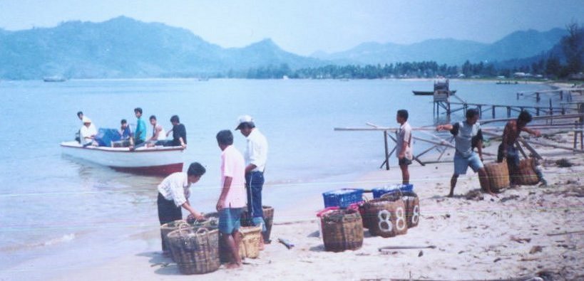 Landing fish on beach near Sibolga on Sumatra