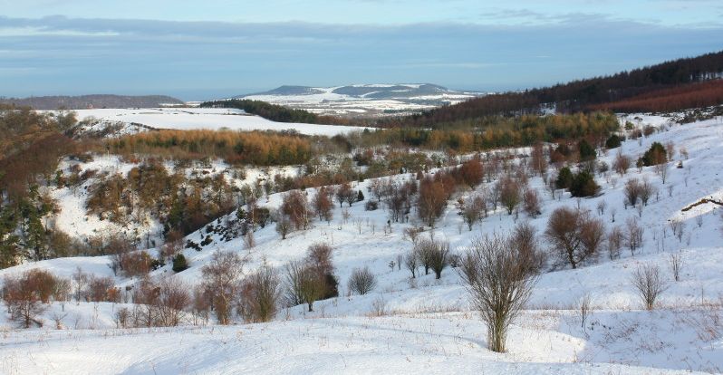 View toward Guisborough