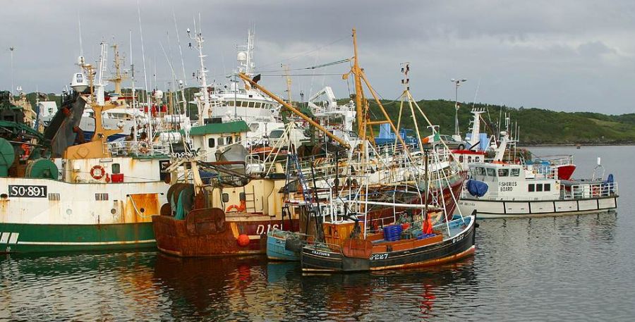 Fishing Boats at Killybegs